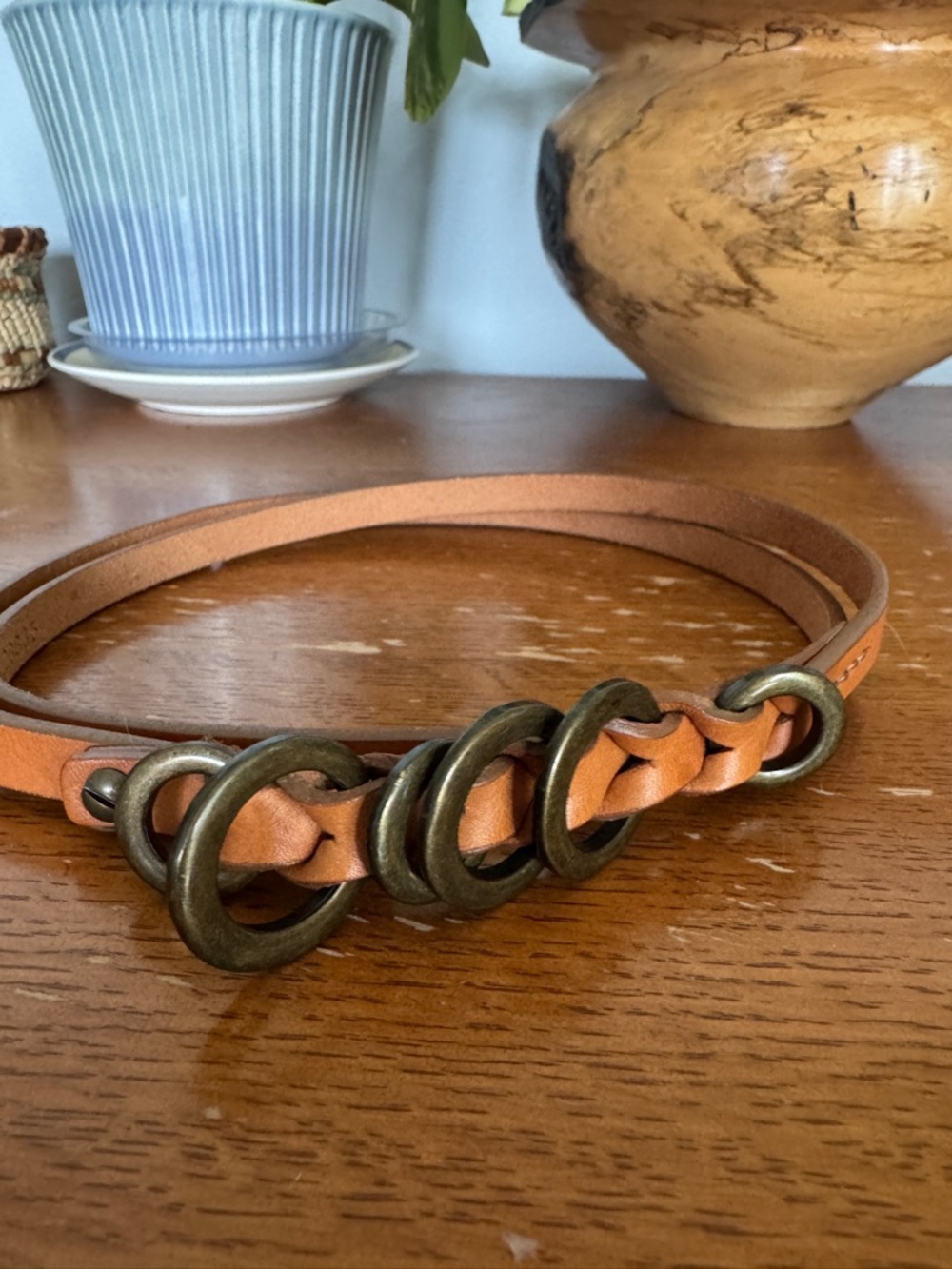 Garnet Hill skinny belt
